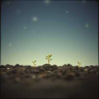 [soumirai]YLOVEAIA04-翳り越えて[2A]